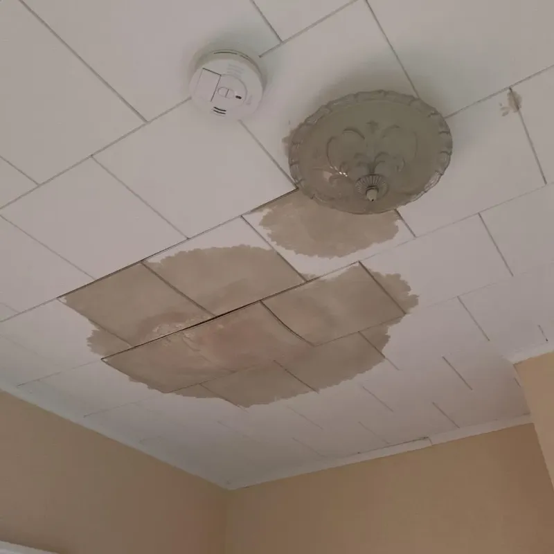 Ceiling Water Damage Repair in Bath, NY